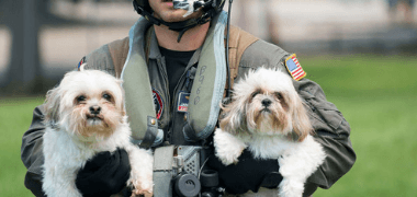 Hurricane Irma: Here's How To Keep Yourself And Your Pet Safe