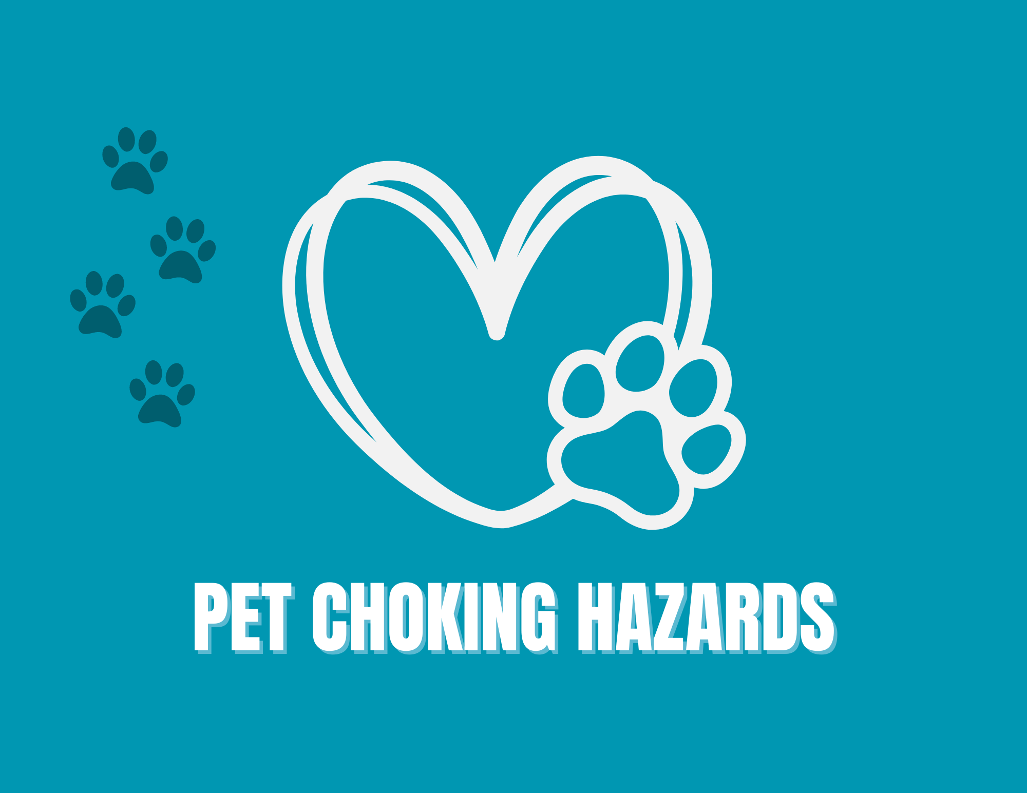 A closer look at Preventing Dog Choking On Jewelry