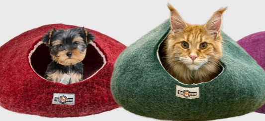 Beyond Beds: Unraveling the Wellness Wonders of Pet Caves