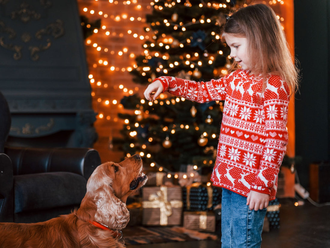 Festive Holiday Games to Keep Your Dog Entertained This Christmas