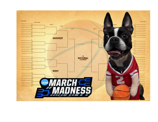March Madness for Dogs: Get Your Pup in the Game!