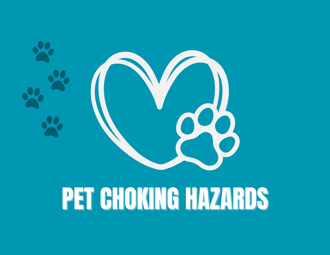 A closer look at Dog Concord Grape Pit Choking Hazard