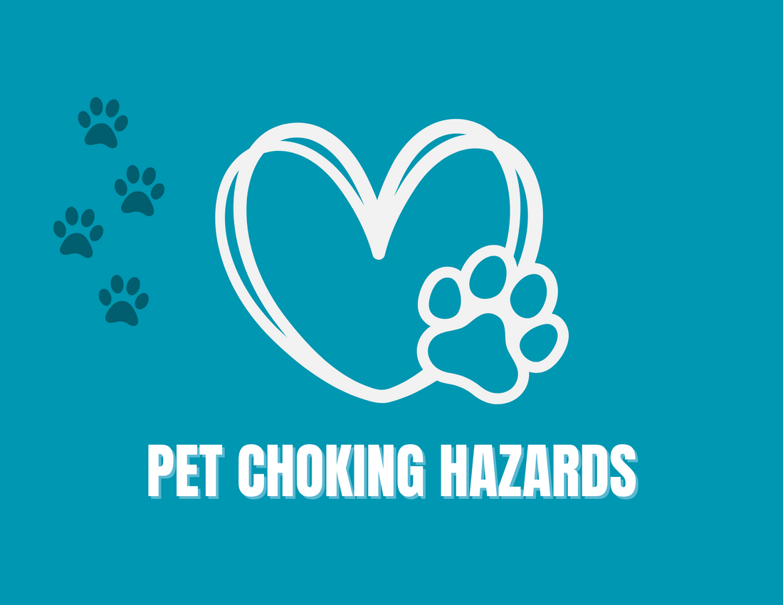 Safeguarding Your Dog: Understanding Choking Hazards and Prevention