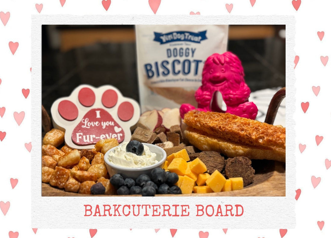 Bark-Cuterie Boards: A Fun & Healthy Way to Treat Your Pup!