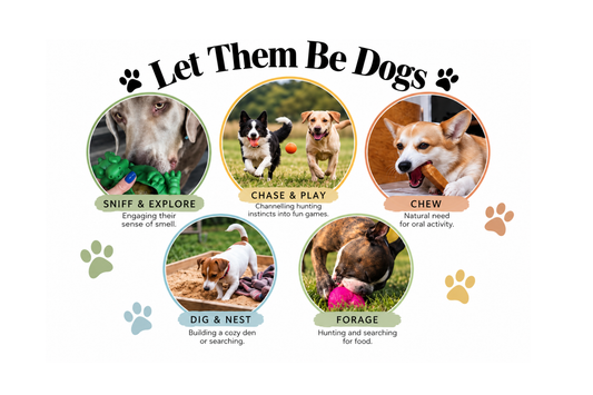 Your Dog Isn’t Being Naughty — They’re Following Their Natural Instincts