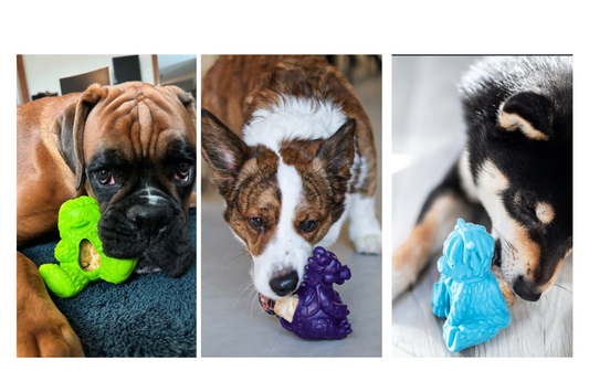What Is a Puff & Play Dog Toy and How Does It Work?