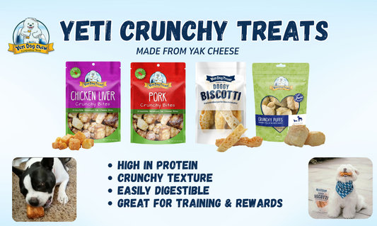 Meet the Yeti Treat Lineup: Big Flavor, Serious Crunch, & Happy Dogs