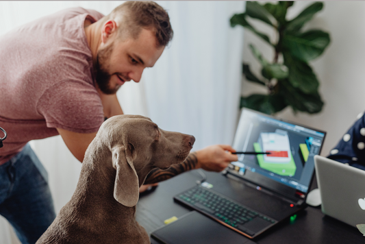 Launching a Pet-Care Venture: Everything You Need to Know to Begin and Succeed