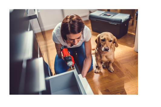 Key Pet Damage Fixes to Boost Home Value Before You Sell (Without Overdoing It)