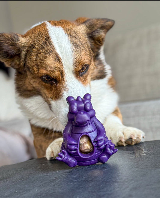 Why Enrichment Toys Are More Than Just Fun