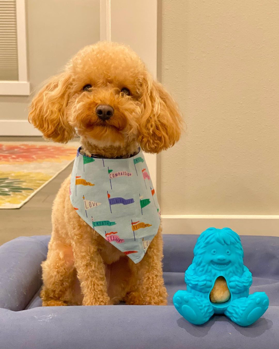 Yeti Puff & Play Dog Toy, Blue