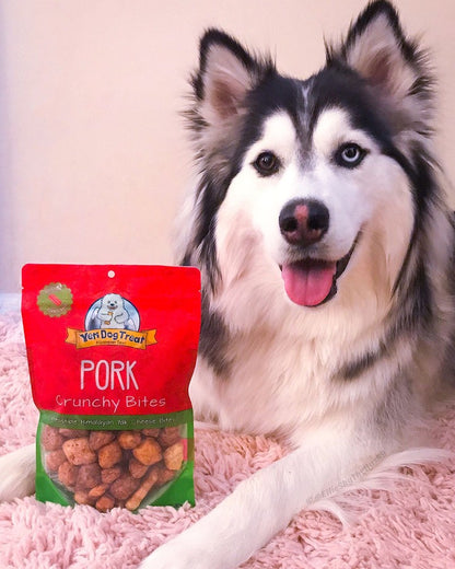 Husky posing with Yeti Pork Crunchy Bites